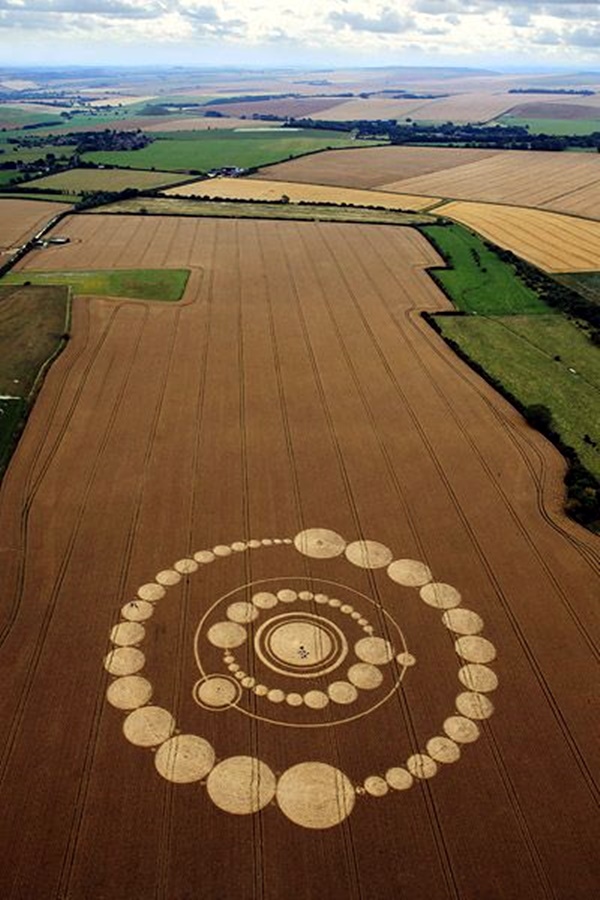Another World Crop Circle Arts Drawn by Humans (35)