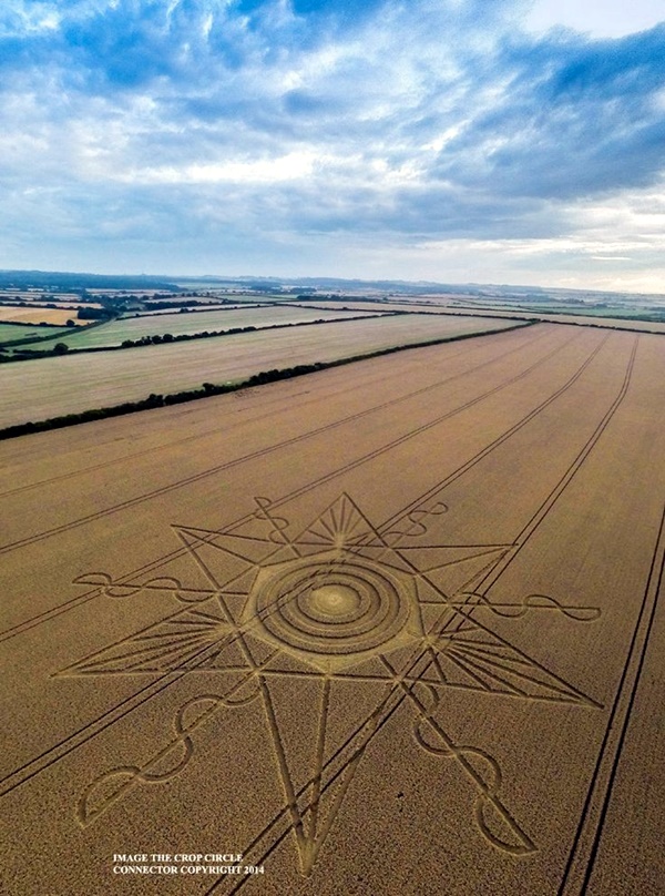 Another World Crop Circle Arts Drawn by Humans (36)