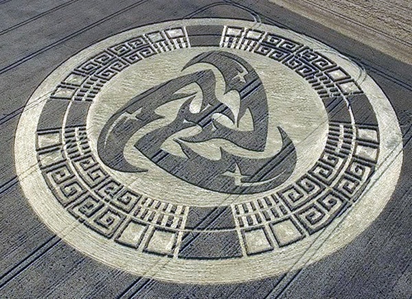 Another World Crop Circle Arts Drawn by Humans (37)