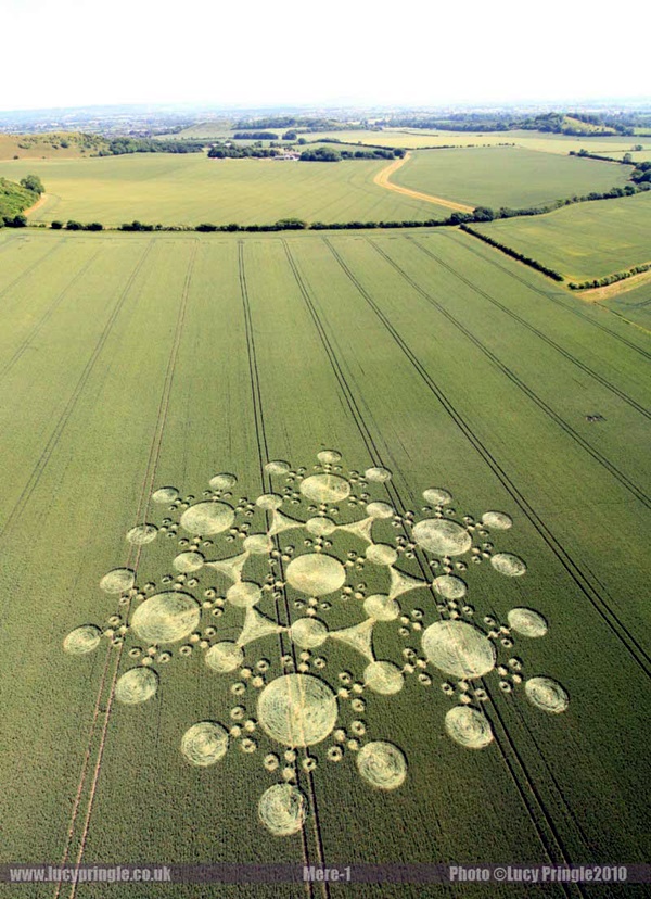 Another World Crop Circle Arts Drawn by Humans (38)