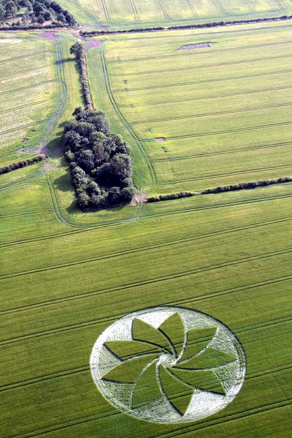 Another World Crop Circle Arts Drawn by Humans (4)