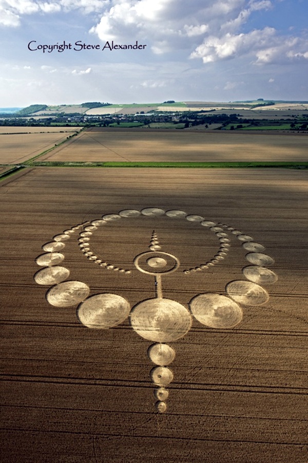 Another World Crop Circle Arts Drawn by Humans (5)