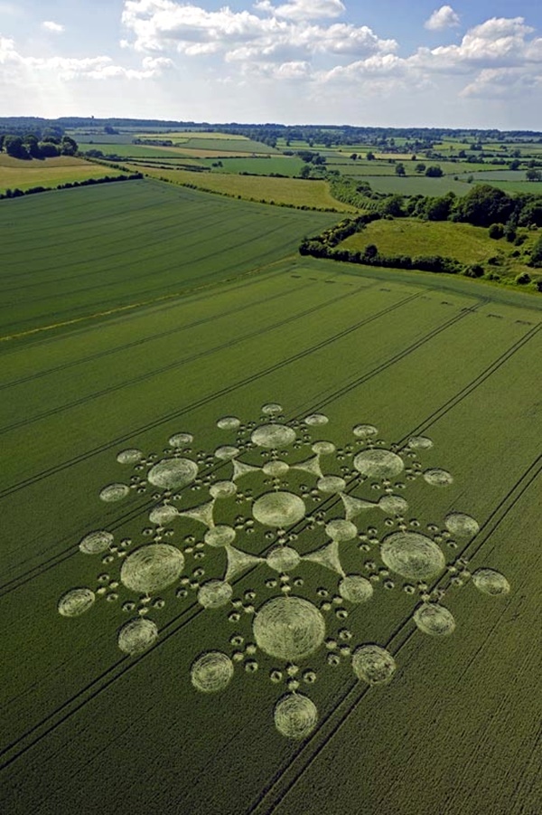 Another World Crop Circle Arts Drawn by Humans (6)