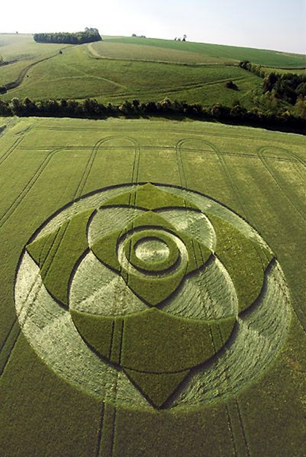Another World Crop Circle Arts Drawn by Humans (7)