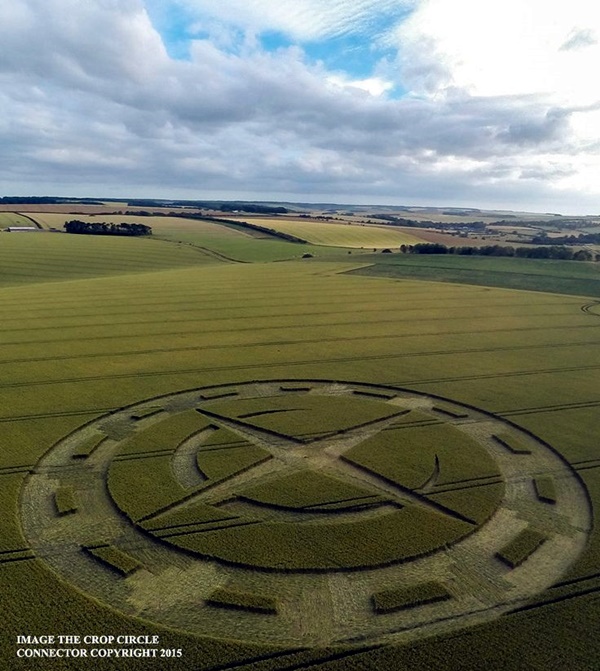 Another World Crop Circle Arts Drawn by Humans (8)
