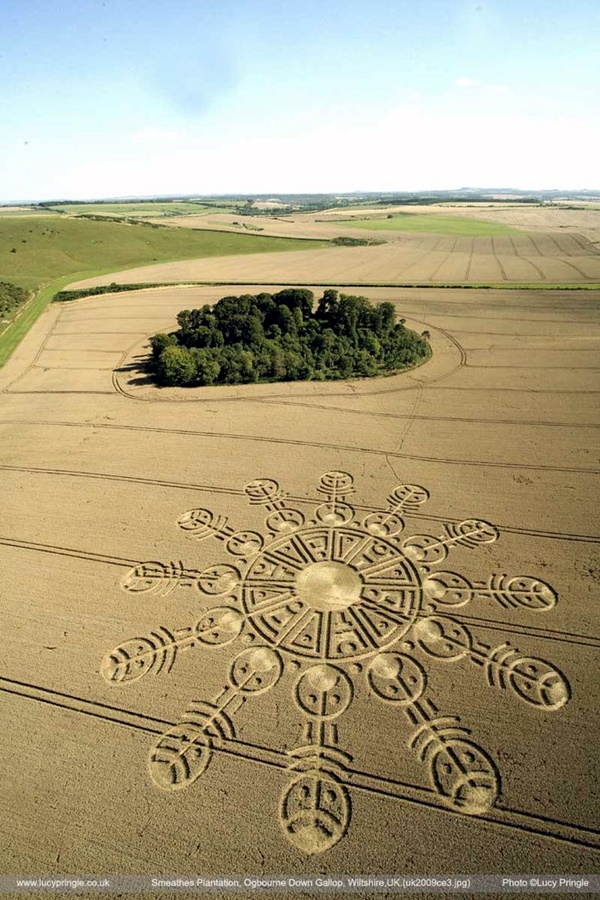 Another World Crop Circle Arts Drawn by Humans (9)