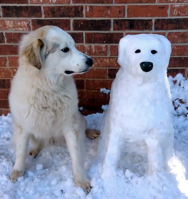 Realistic Snow Art Sculptures Winter Creations (43)