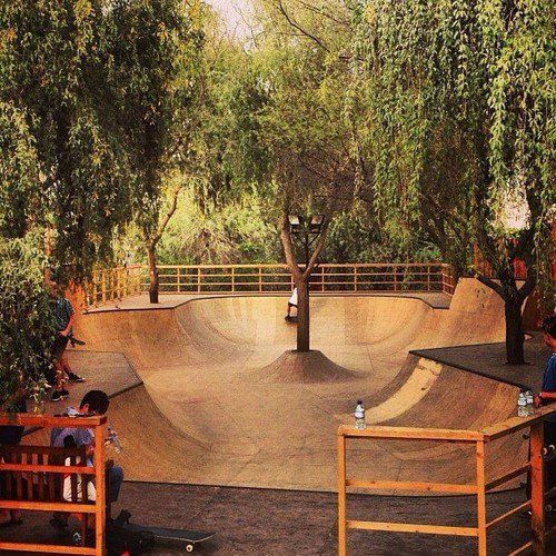 skate park designs 3