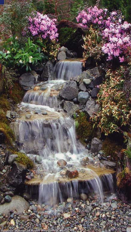 backyard waterfall 20