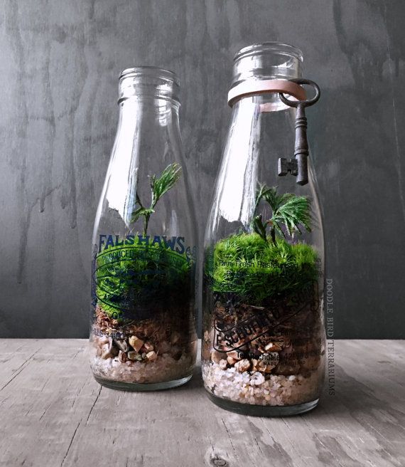 bottle garden 18