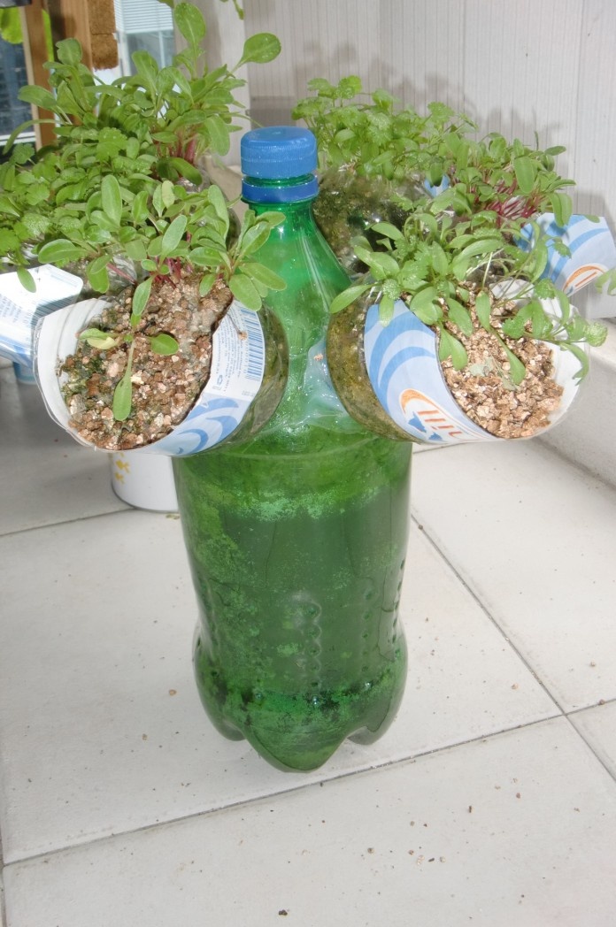 bottle garden 20