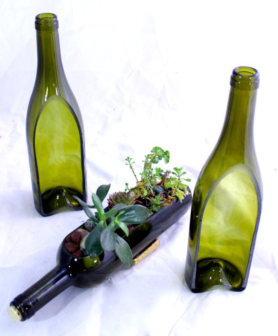 bottle garden 22