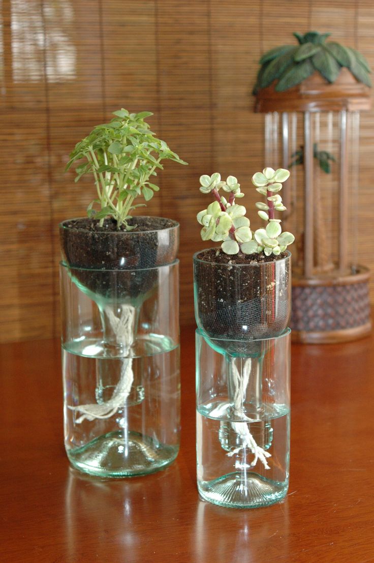 bottle garden 4