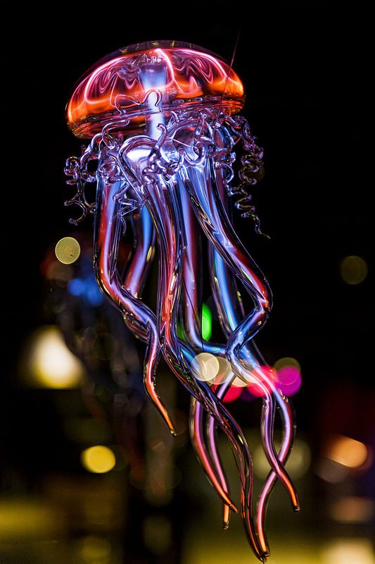 glass sculptures 17