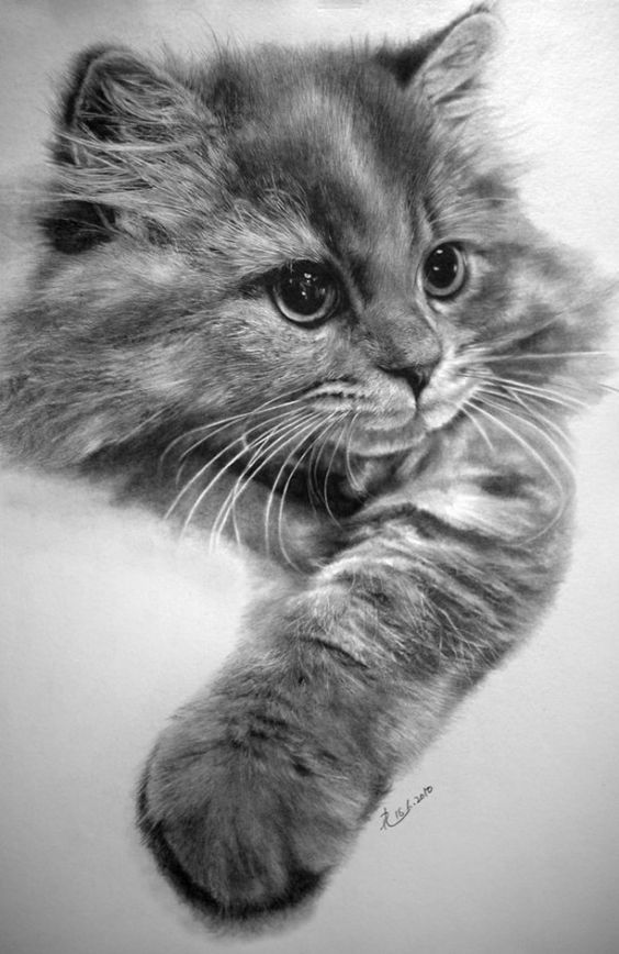 realistic drawings 8