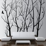 www.ebay.com -