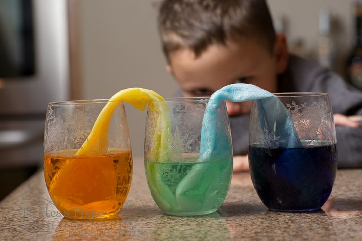 20 Science Activities For Preschoolers