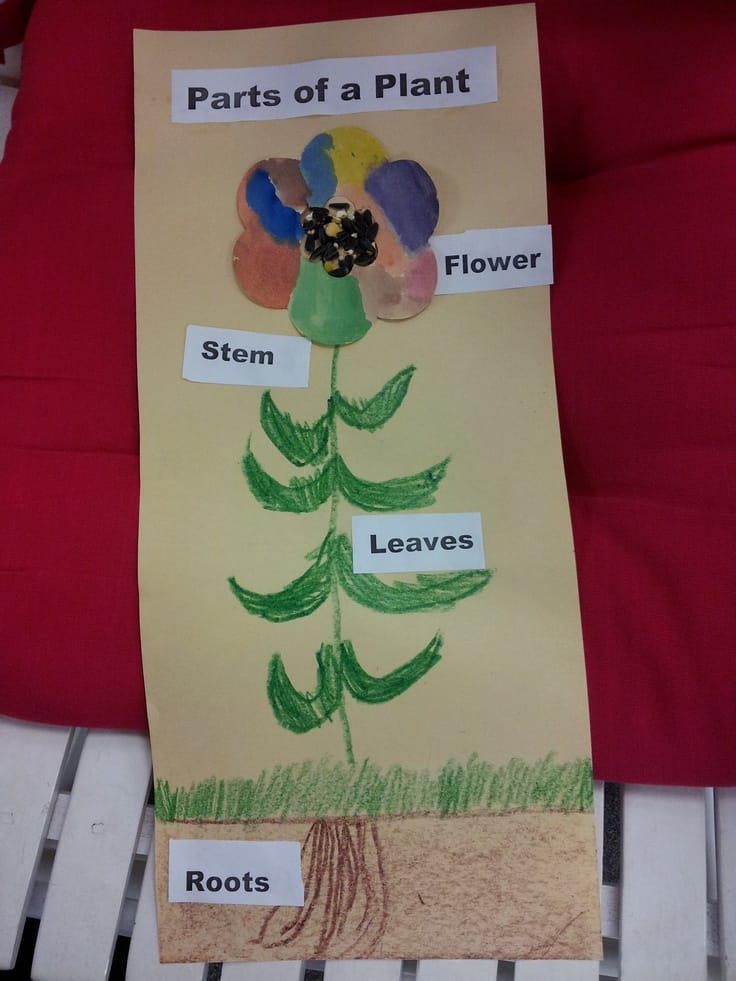20 Science Activities For Preschoolers
