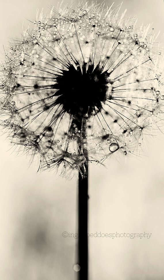 Photo art black and white deals