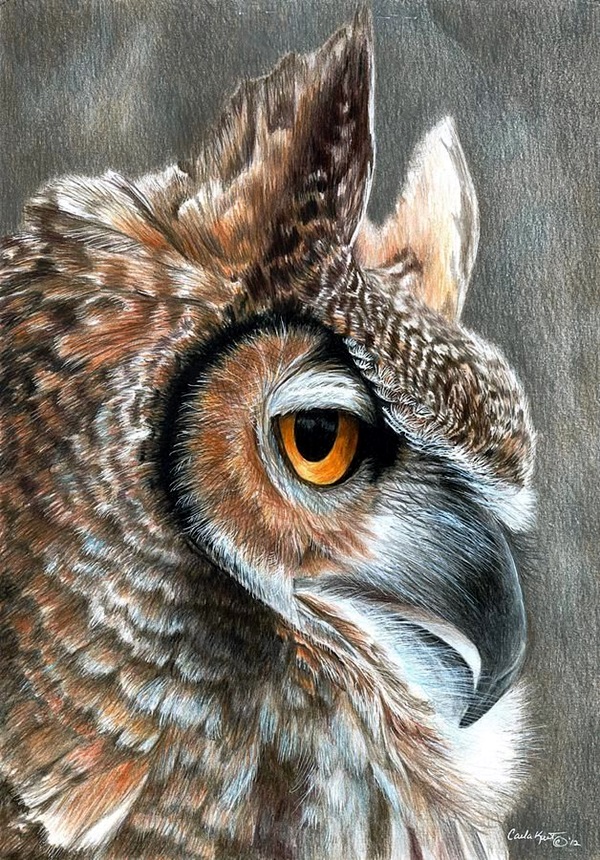 40 Realistic Animal Pencil Drawings