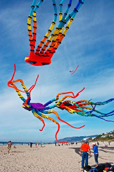 The Art Of Creating Kites And Flying Them - Bored Art