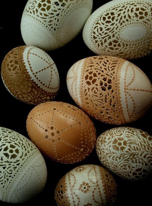 egg article - articles on eggs are healthy