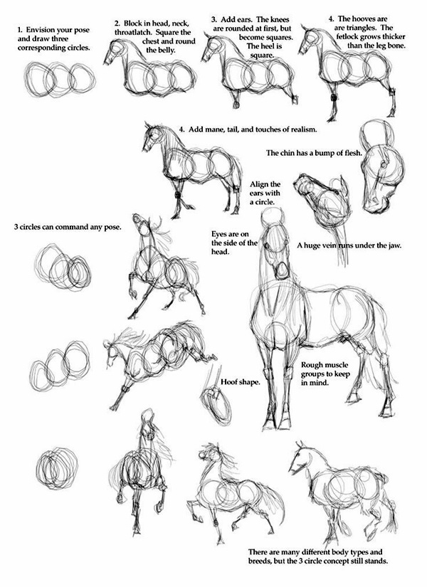 40 Easy Step By Step Art Drawings To Practice - Bored Art