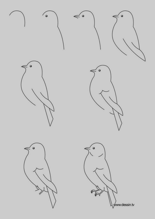 Easy Drawings To Draw Step By Step