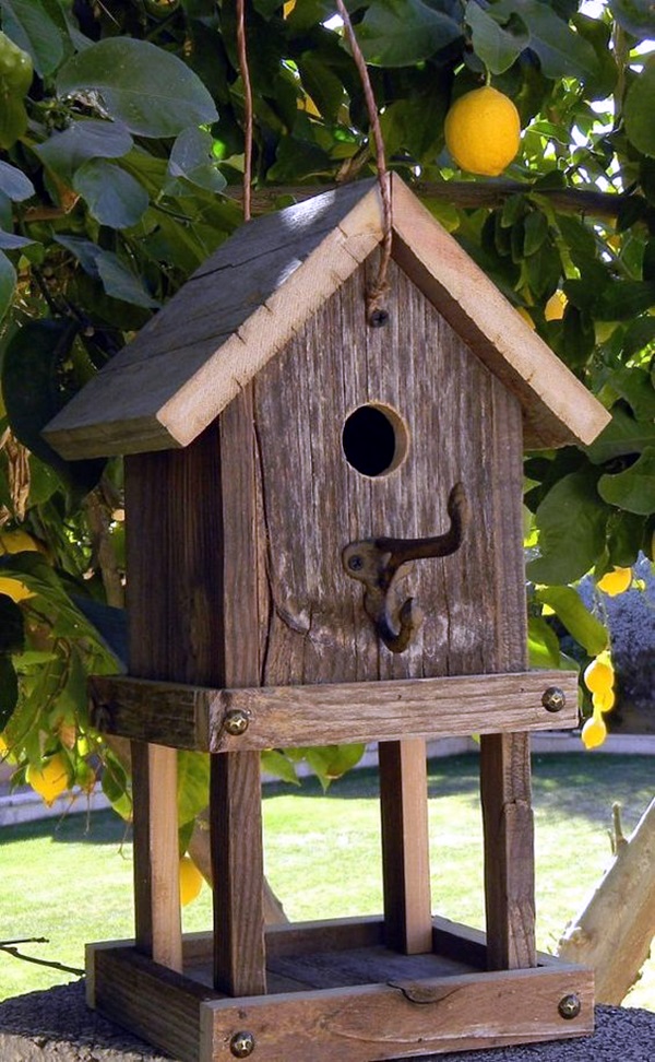 40 Beautiful Bird House Designs You Will Fall In Love With 