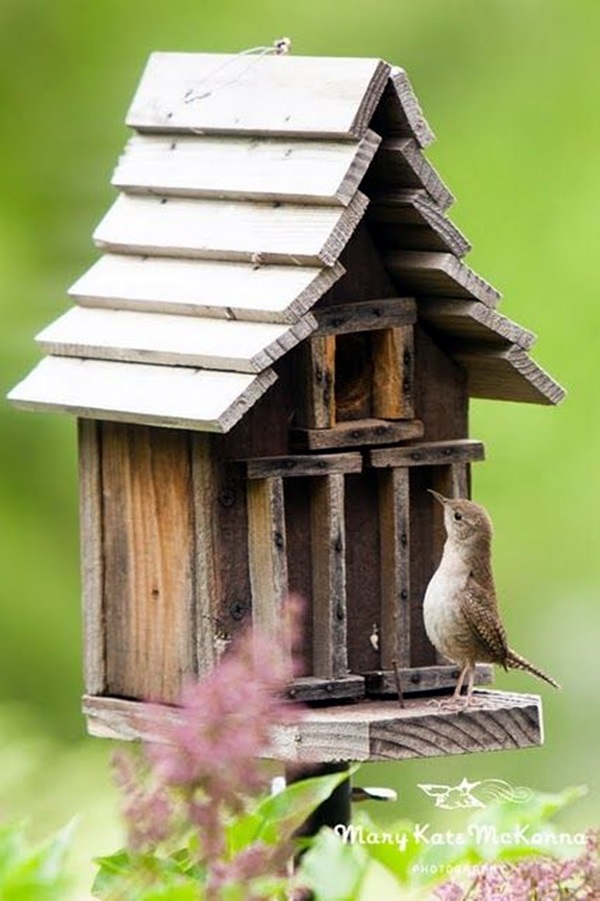 Beautiful Bird House Designs You Will Fall in Love with (13)