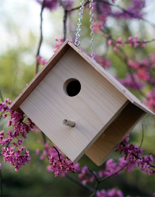 Beautiful Bird House Designs You Will Fall in Love with (20)