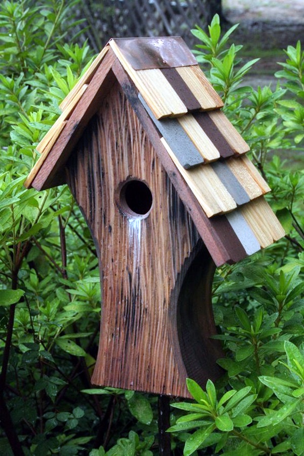 40 Beautiful Bird House Designs You Will Fall In Love With - Bored Art