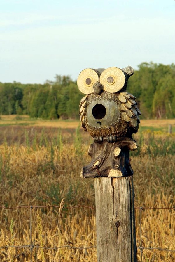 40 Beautiful Bird House Designs You Will Fall In Love With Bored Art