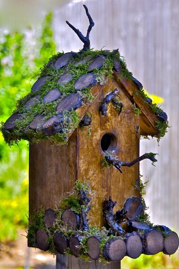 40 Beautiful Bird House Designs You Will Fall In Love With 