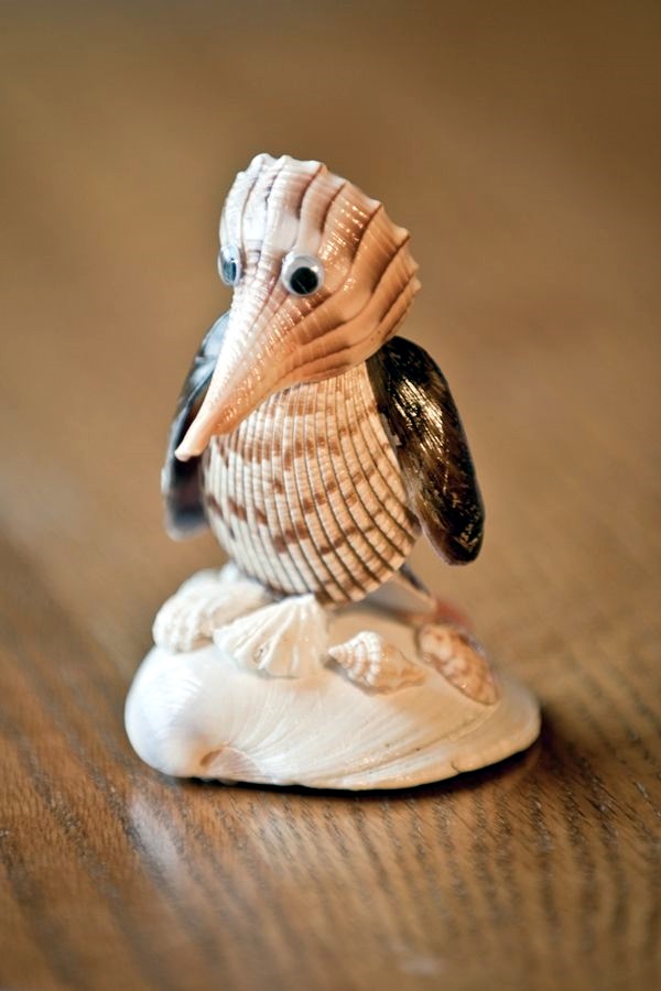Shell clearance art ideas