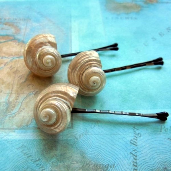 5 amazing shell craft ideas/sea shells crafts when you are bored