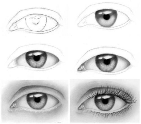 81 How To Draw Eyes With Pencil For Beginners Draw