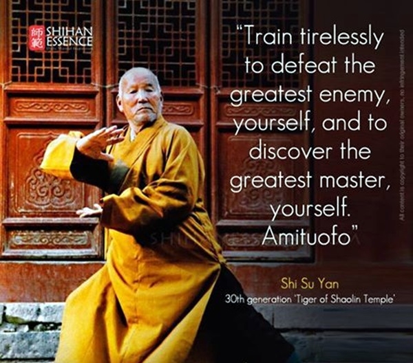 Inspirational Martial Art Quotes You Must Read Right Now (29)