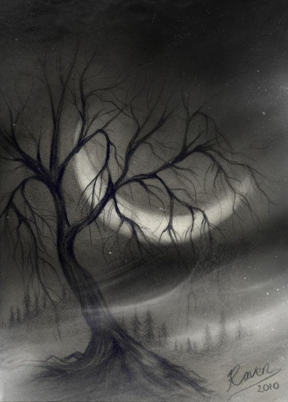 Compelling And Creative Charcoal Drawings To Capture Your Eye Bored Art