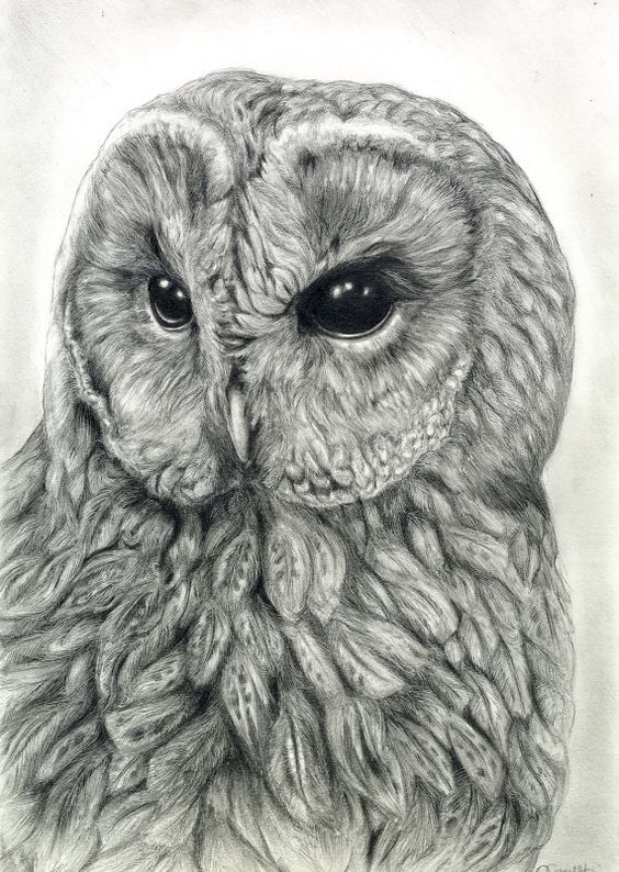 Gorgeous And Grand Graphite Art That Will Leave You Gorgeous And Grand Graphite Art That Will Leave You