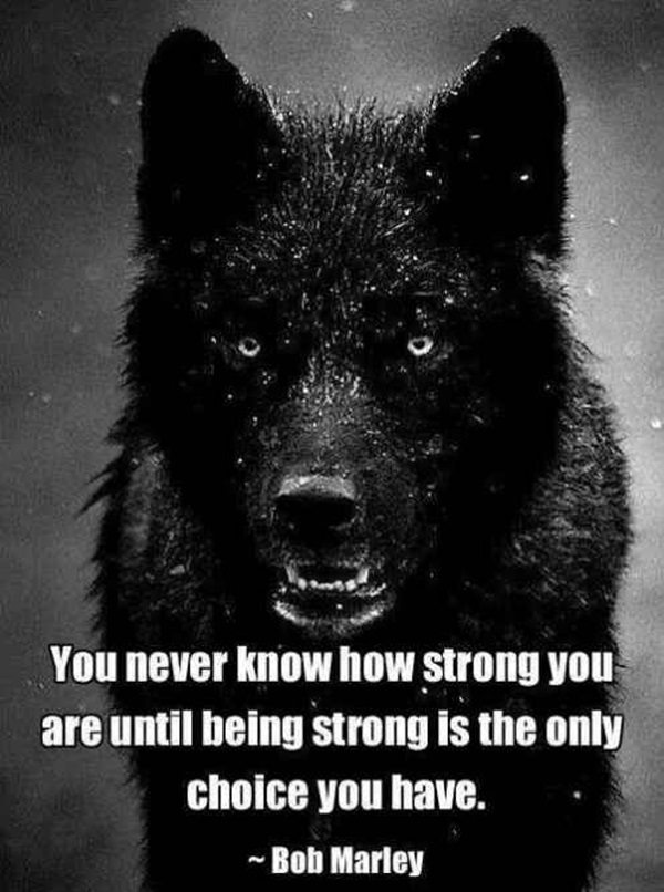 40 Inspirational Quotes About Strength That Will Inspire You - Bored Art