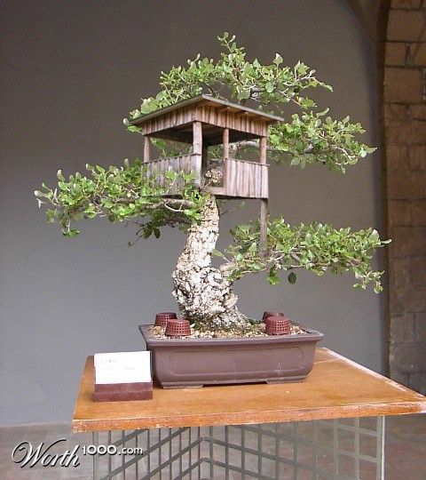  Miniature  Tree  Houses Ideas To Mesmerize You Bored Art