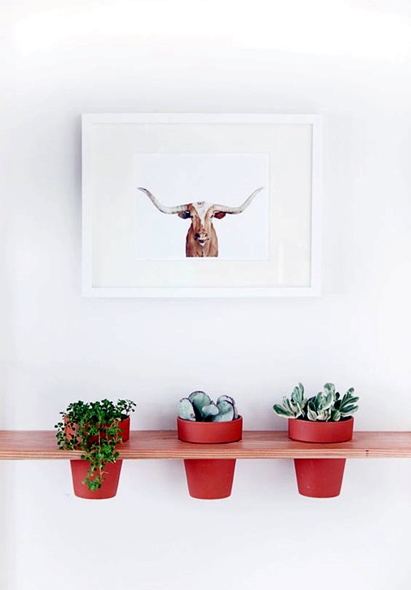 Elegant DIY Hanging Planter Ideas For Indoors (1)