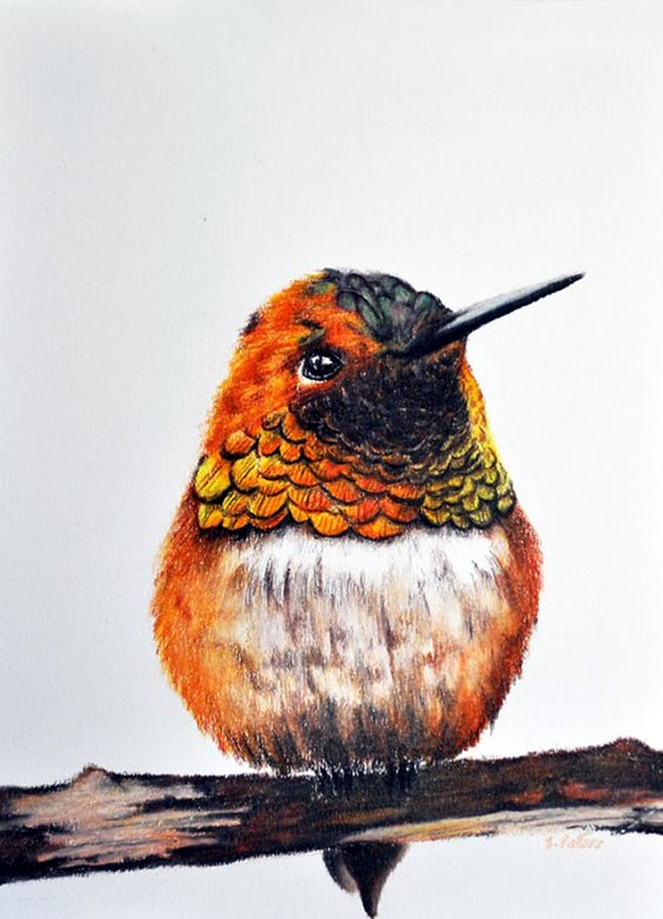 40 Color Pencil Drawings To Having You Cooing With Joy - Bored Art