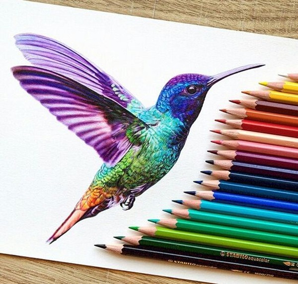 40 Color Pencil Drawings To Having You Cooing With Joy Bored Art