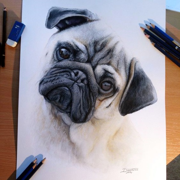 40 Color Pencil Drawings To Having You Cooing With Joy - Bored Art