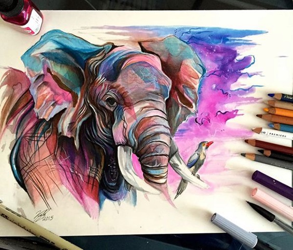 color pencil drawing Examples (42)