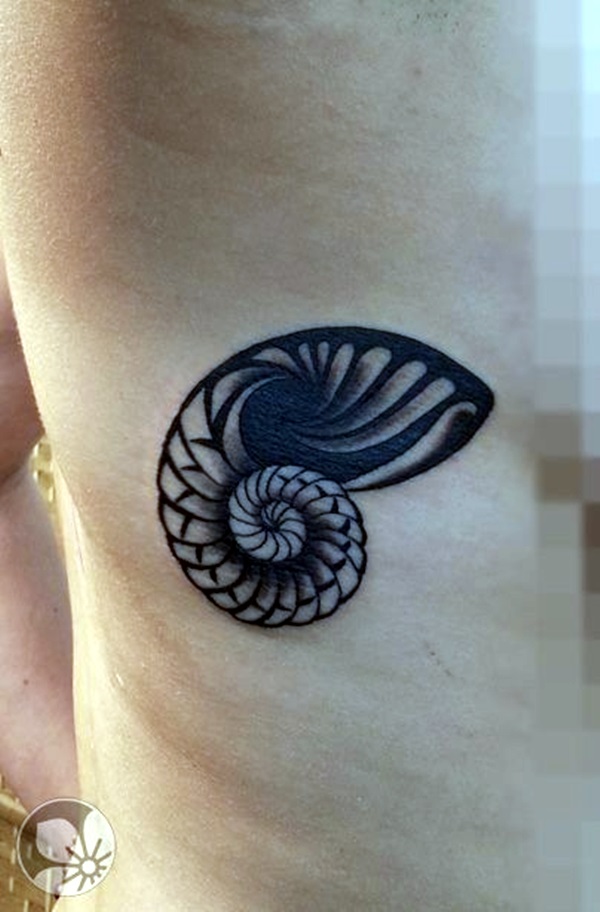 Nautilus Shell Tattoo Meaning
