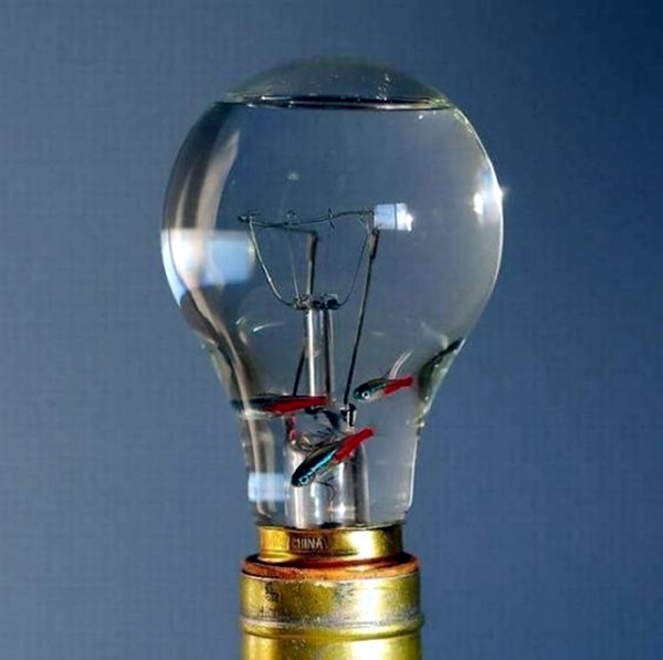 Original Light Bulb Aquarium Decor Ideas (10)