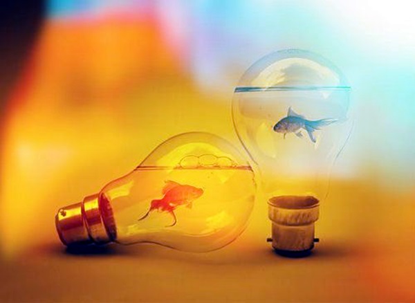 Original Light Bulb Aquarium Decor Ideas (8)